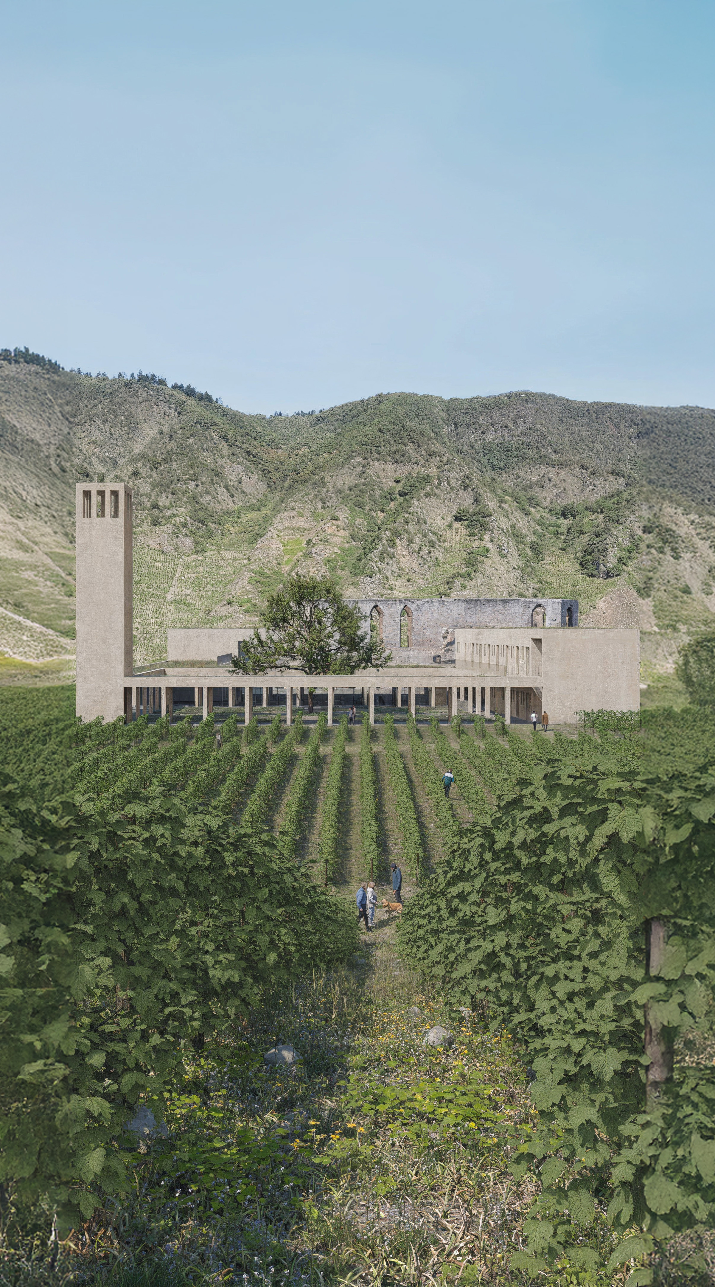 Visualization Calmont